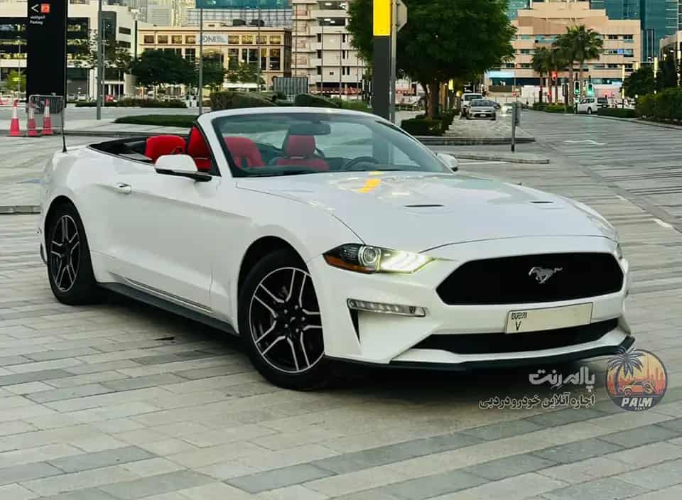 اجاره فورد موستانگ کروک 2022 2022 در دبی - تصویر دوم