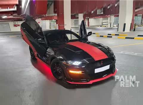 اجاره فورد موستانگ کروک اسپرت 2019 2019 در دبی - تصویر اول