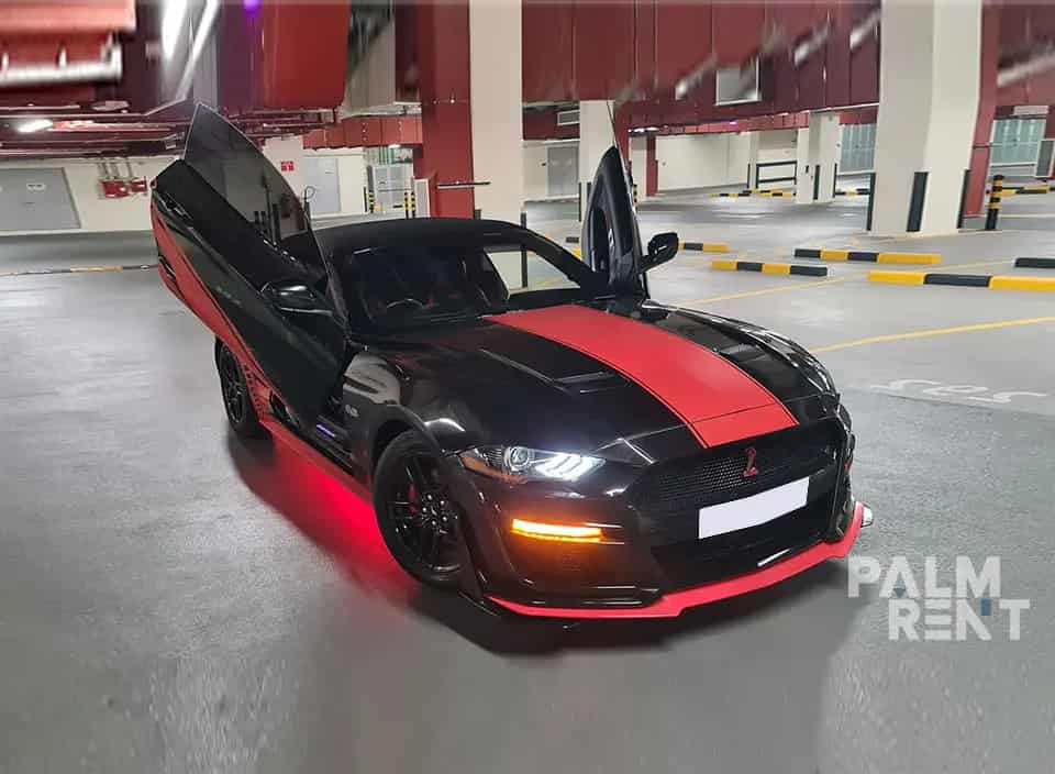 اجاره فورد موستانگ کروک اسپرت 2019 2019 در دبی - تصویر دوم